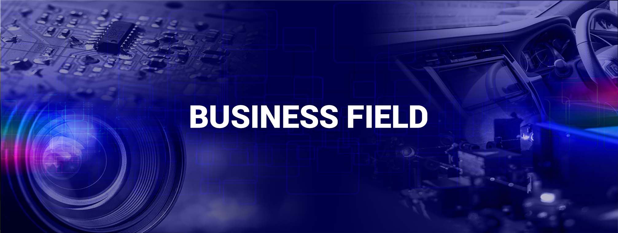 BUSINESS FIELD