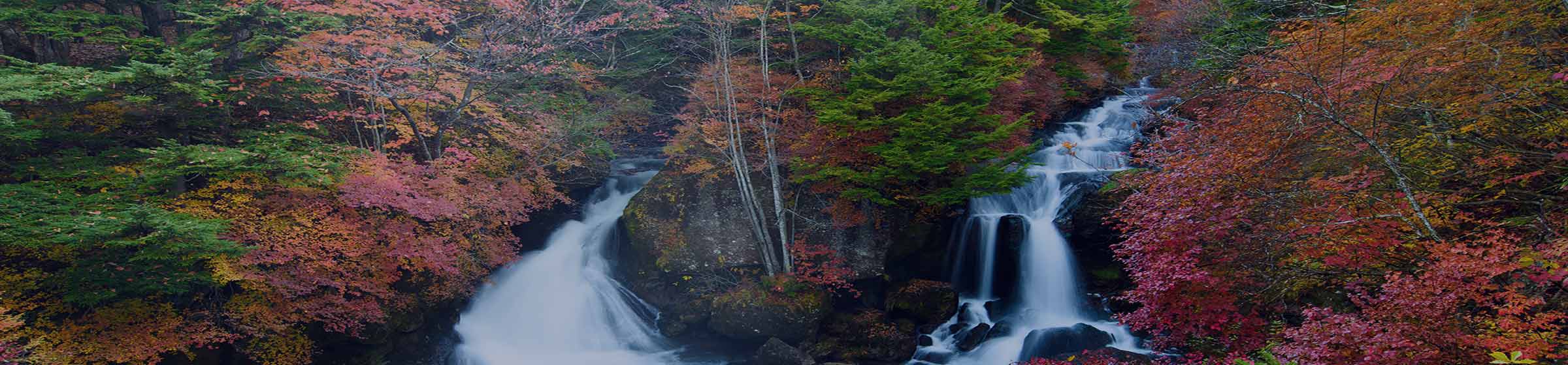 IR背景